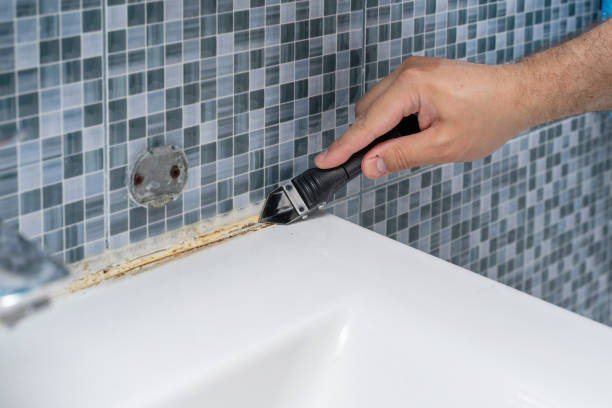 Best Local Mold Removal Service  in Oak Park Heights, MN